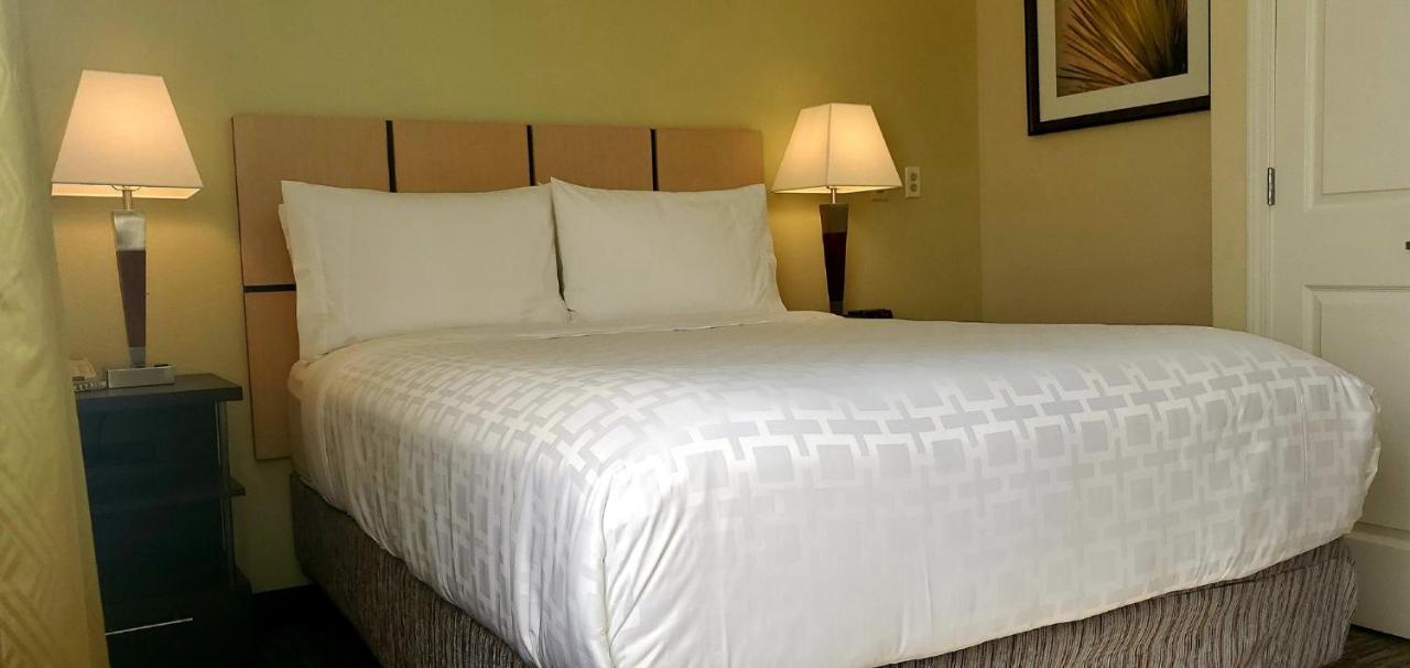 Candlewood Suites Houston Medical Center By Ihg Kültér fotó