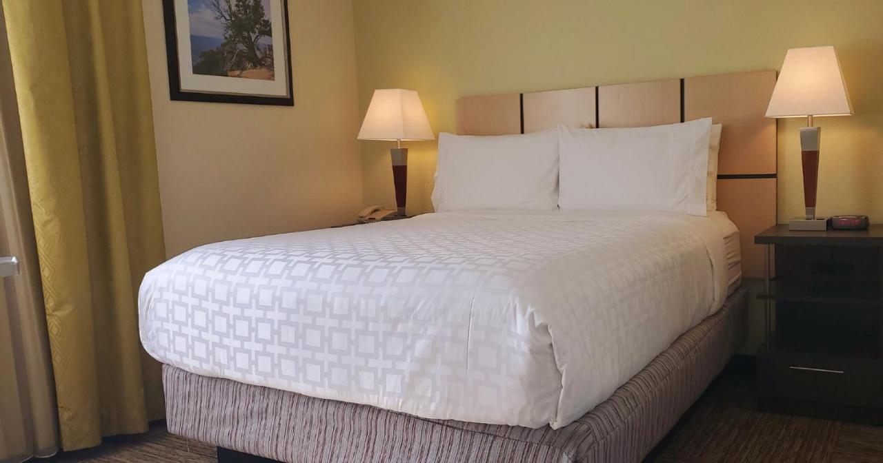 Candlewood Suites Houston Medical Center By Ihg Kültér fotó